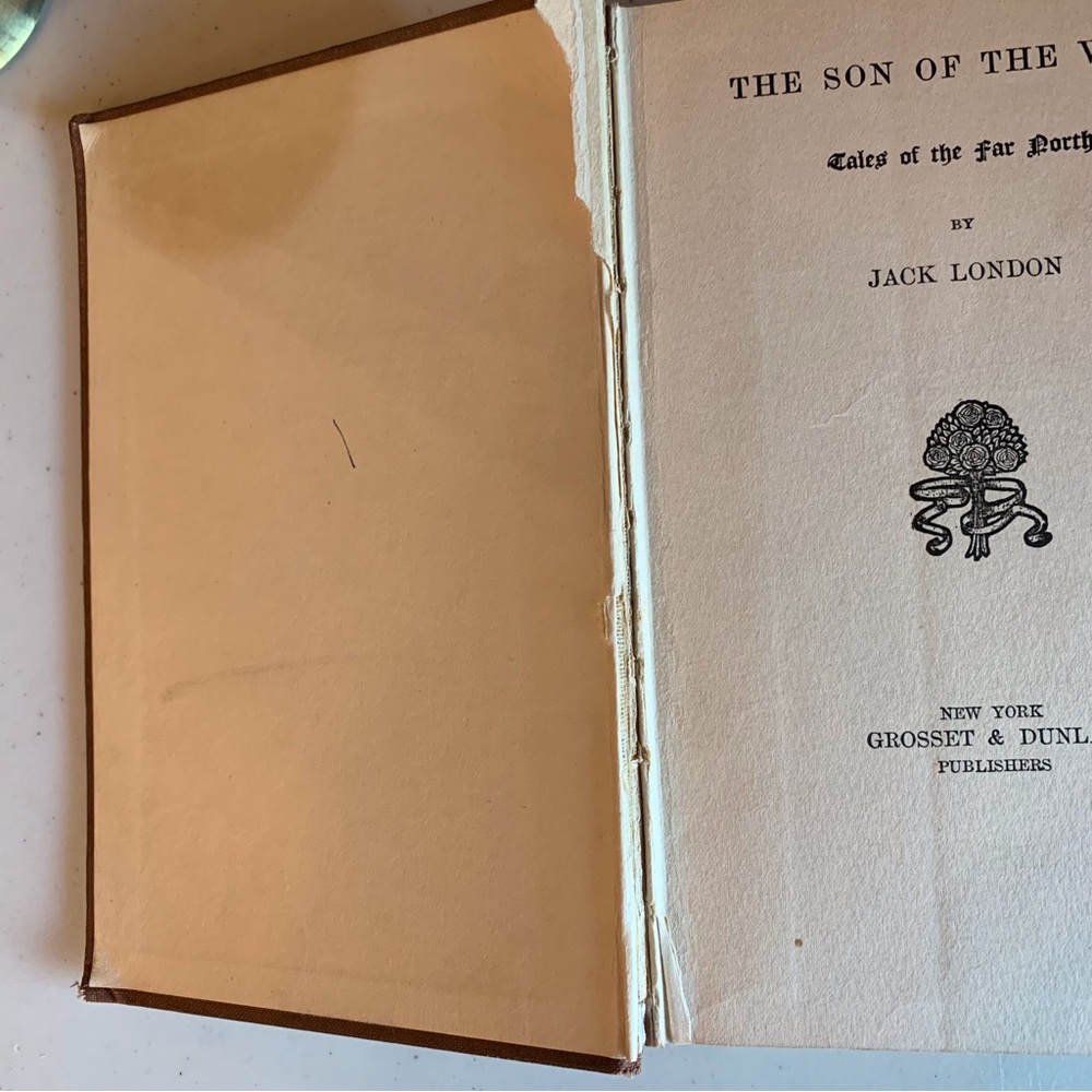 First Edition 1900 Hard Cover “The Son of the Wolf” Jack London - Picture 6 of 6